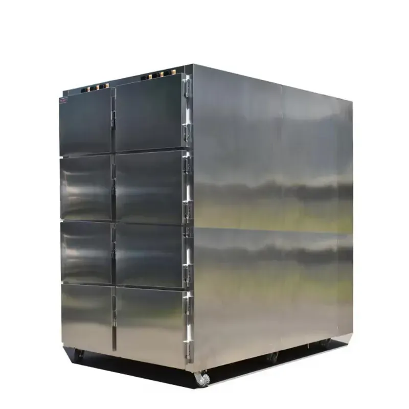 8 Corpse Morgue Freezer