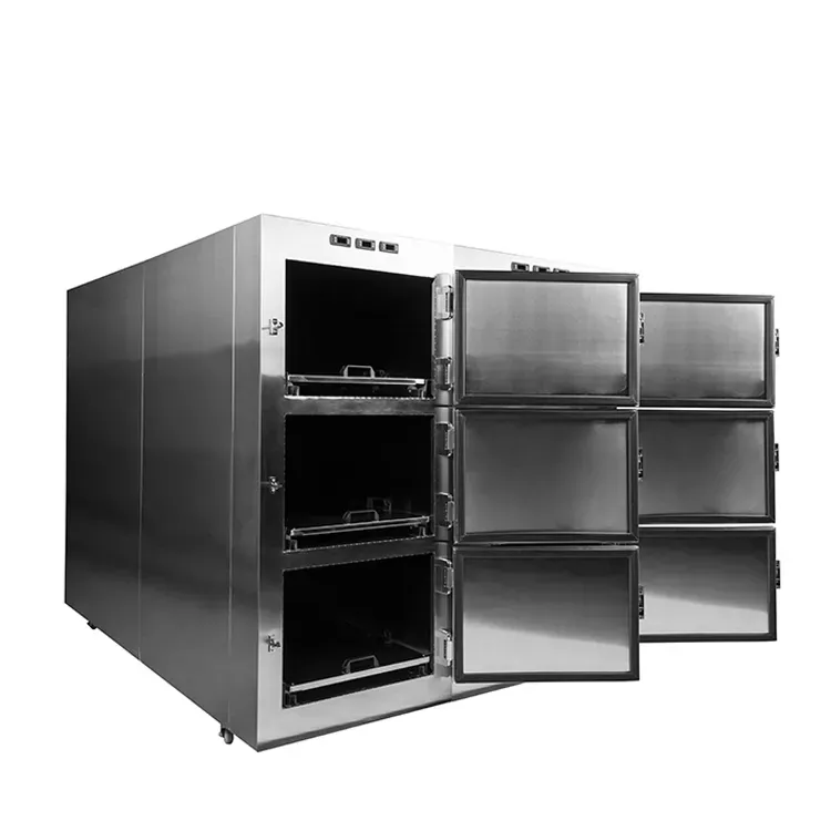 6 Congelador de cadáveres Morgue