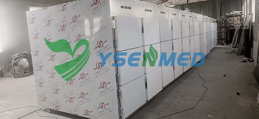 YSENMED Mortuary Freezer